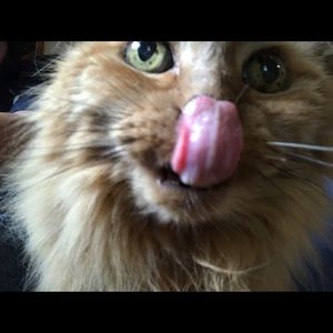 Meet your Posher, Angela